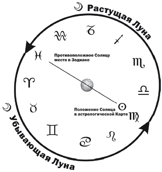 Энергия здоровья. Кулинарная книга астролога