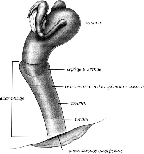 Богини никогда не стареют. Как всегда оставаться молодой и сияющей