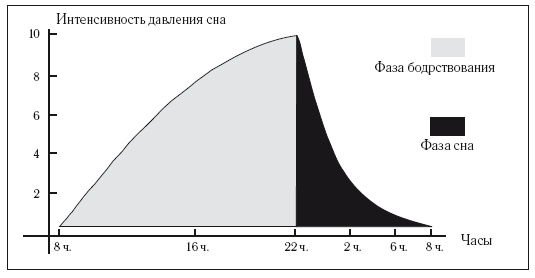 8 недель для победы над бессонницей. Как самостоятельно наладить сон