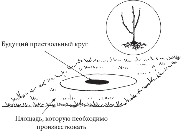 Самая полезная настольная книга садовода и огородника