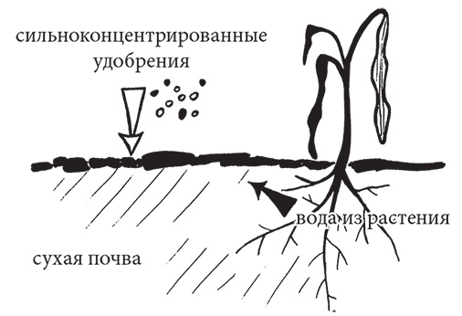 Самая полезная настольная книга садовода и огородника