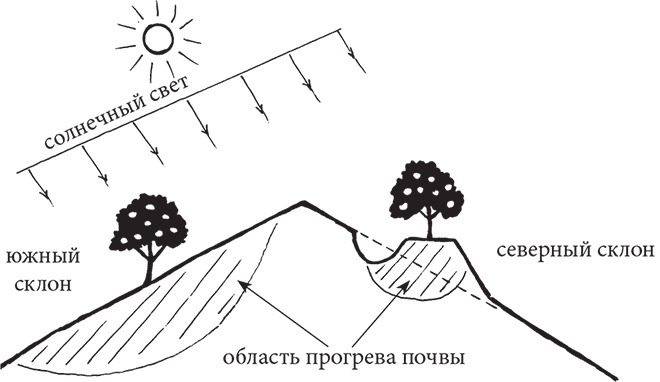 Самая полезная настольная книга садовода и огородника