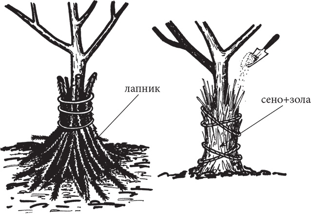 Самая полезная настольная книга садовода и огородника