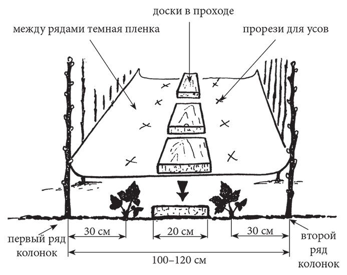 Самая полезная настольная книга садовода и огородника