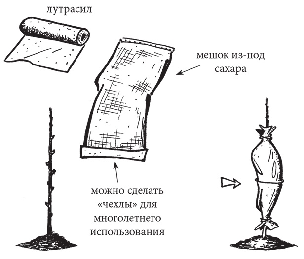 Самая полезная настольная книга садовода и огородника