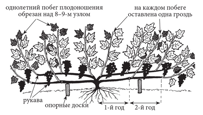 Самая полезная настольная книга садовода и огородника