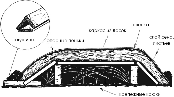 Главные секреты вашего сада и огорода (переиздание)