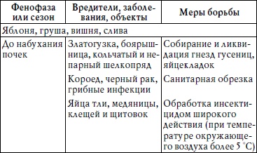 Богатый сад. Шпаргалка разумного дачника. 100 экспресс-советов