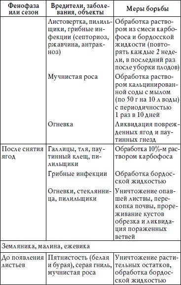 Богатый сад. Шпаргалка разумного дачника. 100 экспресс-советов