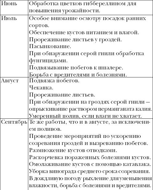 Виноград. Секреты чудо-урожая