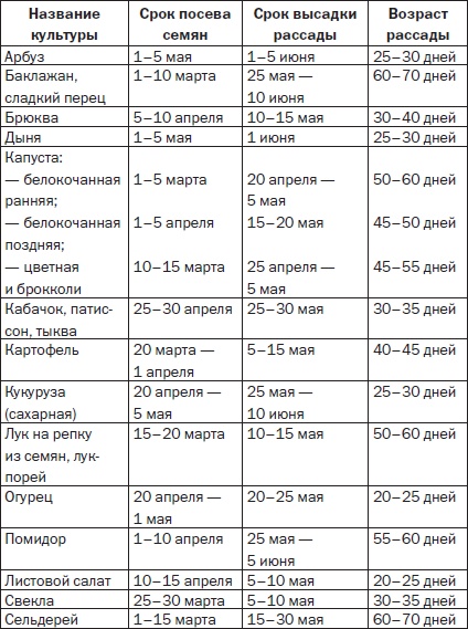 Всё о семенах овощных культур