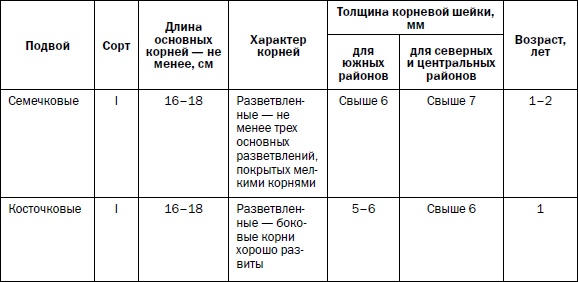 Прививка плодовых деревьев: распространенные ошибки и секреты успешной прививки