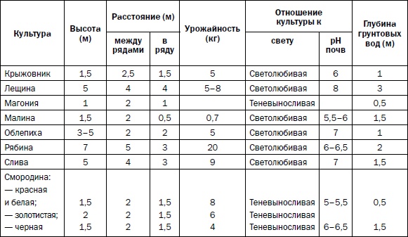 Прививка плодовых деревьев: распространенные ошибки и секреты успешной прививки