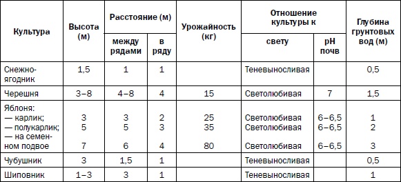 Прививка плодовых деревьев: распространенные ошибки и секреты успешной прививки