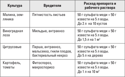 Золотая энциклопедия. Огород на 6 сотках. Секреты для ленивых дачников от Октябрины Ганичкиной