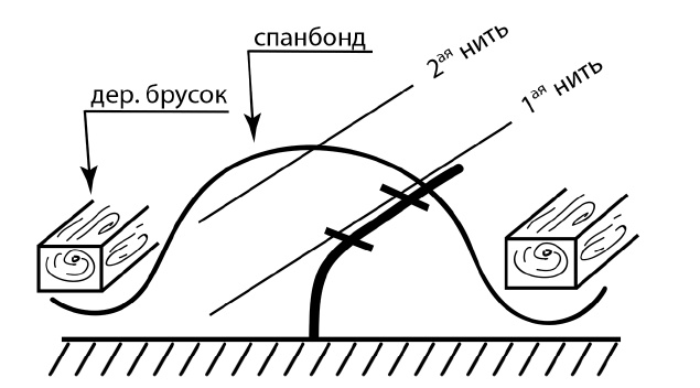 Секреты выращивания винограда в любом климате. Проверенные способы формировки винограда