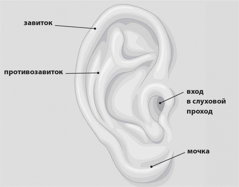 УХОГОРЛОНОС. Как правильно лечить самые частые болезни у детей и взрослых