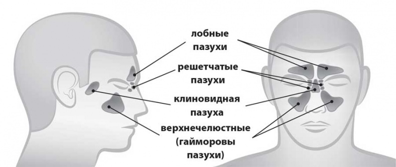 УХОГОРЛОНОС. Как правильно лечить самые частые болезни у детей и взрослых