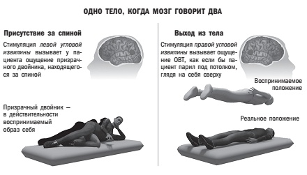 Наука о мозге и миф о своем Я. Тоннель Эго