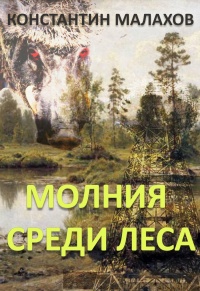 Книга Молния среди леса