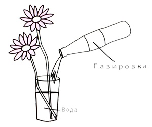 Маленькие японские хитрости II