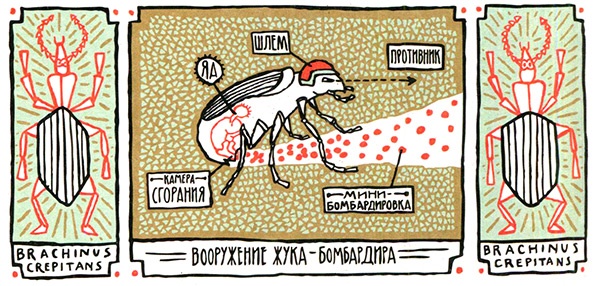 Загадка жизни и грязные носки Йоса Гротьеса из Дрила