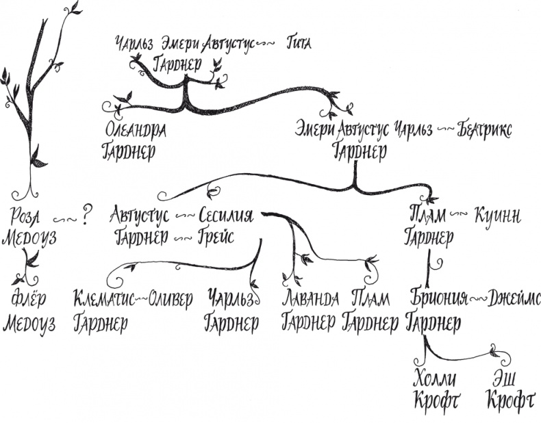 Орхидея съела их всех