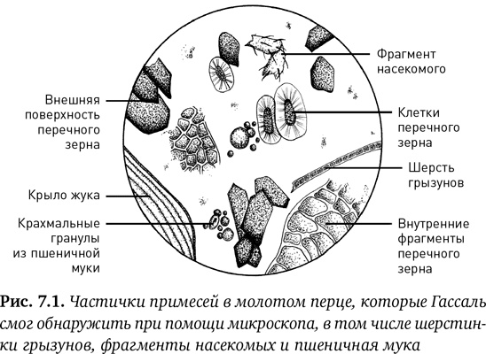 Состав. Как нас обманывают производители продуктов питания