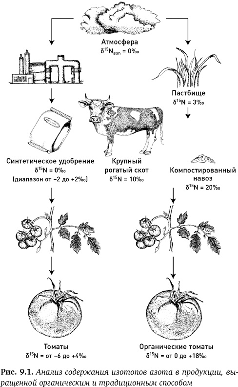 Состав. Как нас обманывают производители продуктов питания