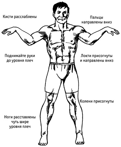 Живая пища. Сыроедение: энергетика, психология