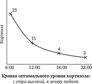 Синдром белки в колесе: Как сохранить здоровье и сберечь нервы в мире бесконечных дел