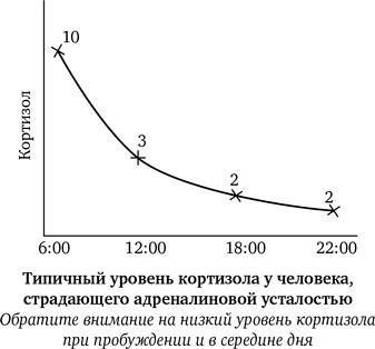 Синдром белки в колесе: Как сохранить здоровье и сберечь нервы в мире бесконечных дел