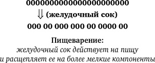 Синдром белки в колесе: Как сохранить здоровье и сберечь нервы в мире бесконечных дел