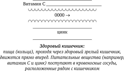 Синдром белки в колесе: Как сохранить здоровье и сберечь нервы в мире бесконечных дел