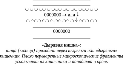 Синдром белки в колесе: Как сохранить здоровье и сберечь нервы в мире бесконечных дел