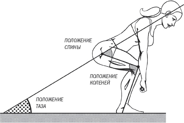 Тоньше, Суше, Сильнее. Простая наука о построении женского тела