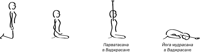 Йога: здоровое долголетие, или Как оставаться молодым и бодрым