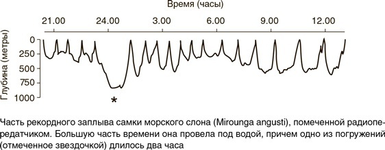 На грани возможного. Наука выживания