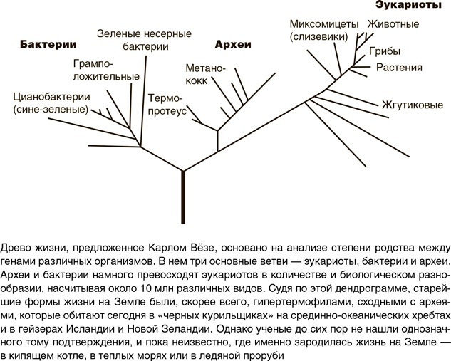 На грани возможного. Наука выживания