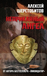 Книга Неприкаяный ангел