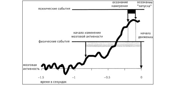 Как работает мир, в котором я живу