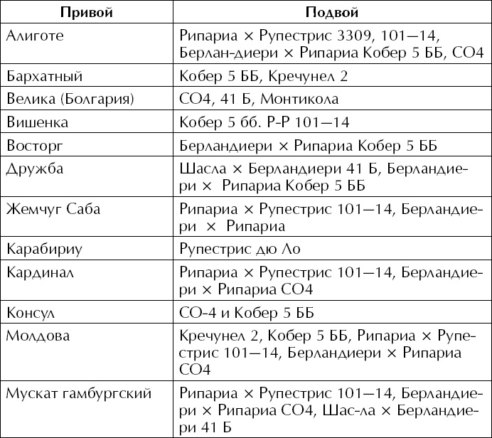 Большая энциклопедия виноградаря