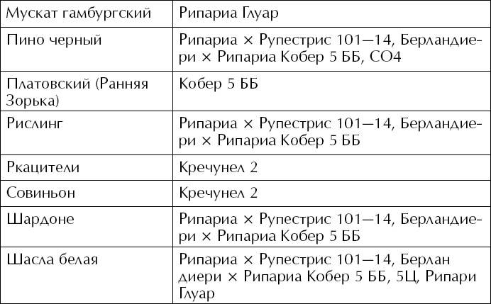 Большая энциклопедия виноградаря