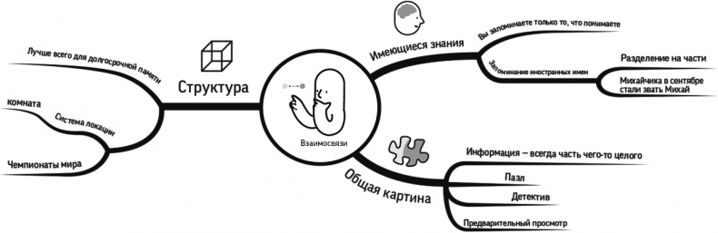 Как читать, запоминать и никогда не забывать