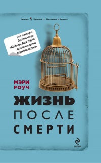 Книга Жизнь после смерти