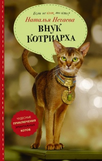 Книга Внук котриарха