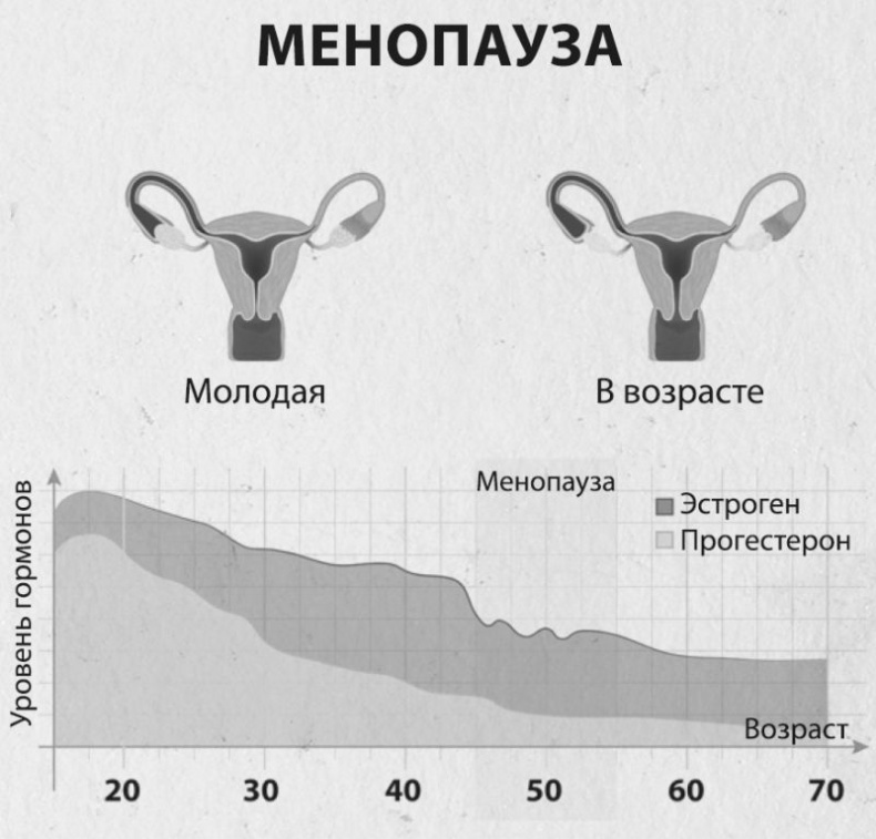 Девочка. Девушка. Женщина