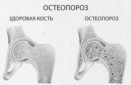 Девочка. Девушка. Женщина