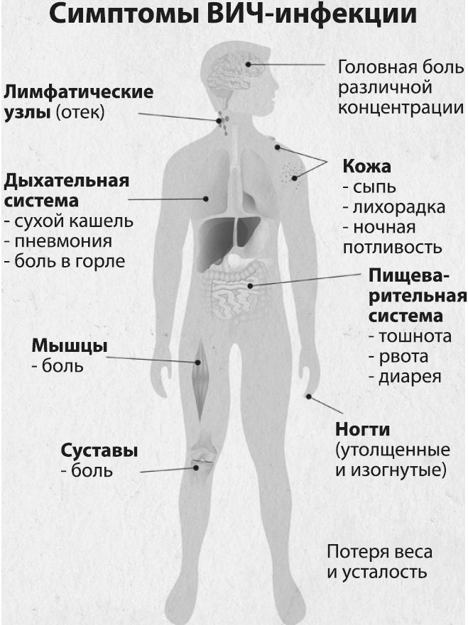 Девочка. Девушка. Женщина