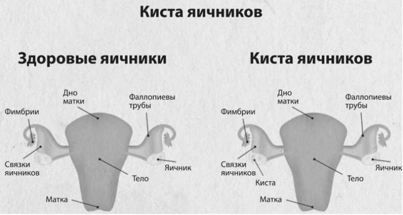 Девочка. Девушка. Женщина